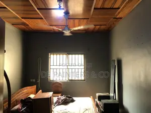 Painting Professional_Very Affordable Reliable