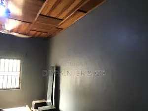 Painting Professional_Very Affordable Reliable