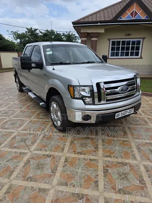Ford F-150 Platinum  2013 Silver