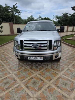 Ford F-150 Platinum  2013 Silver