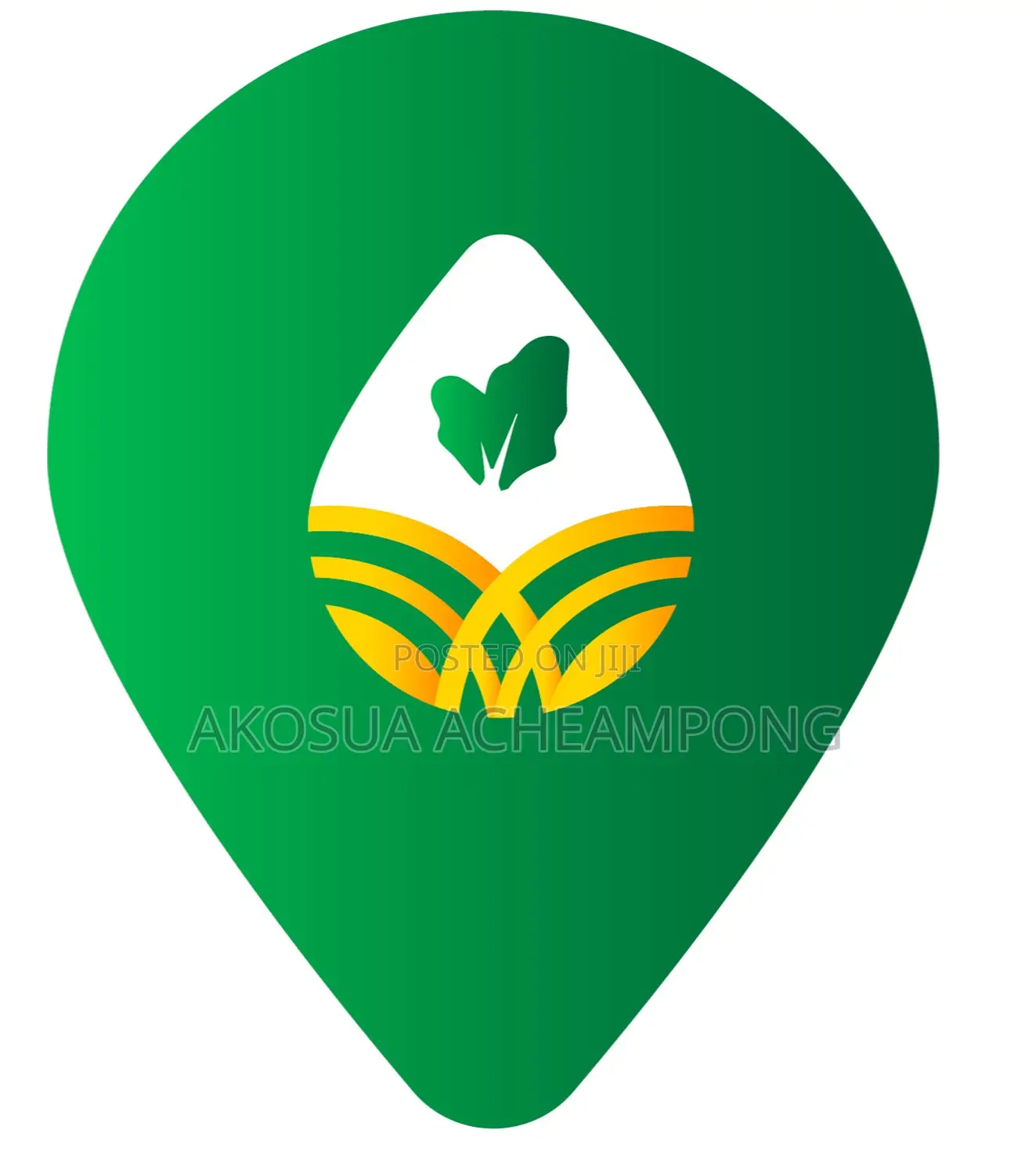 Business Development Executive – Software