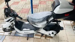 Electric Bike/Scooter Tubeless Tire. Brand New E Bike