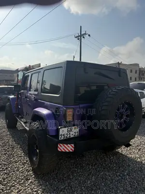 Jeep Wrangler 2014 Purple
