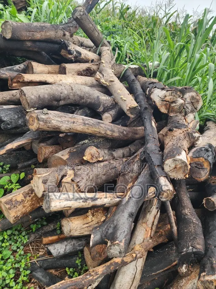 Wood for Charcoal or Firewood