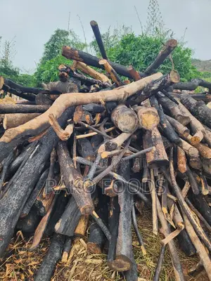 Wood for Charcoal or Firewood