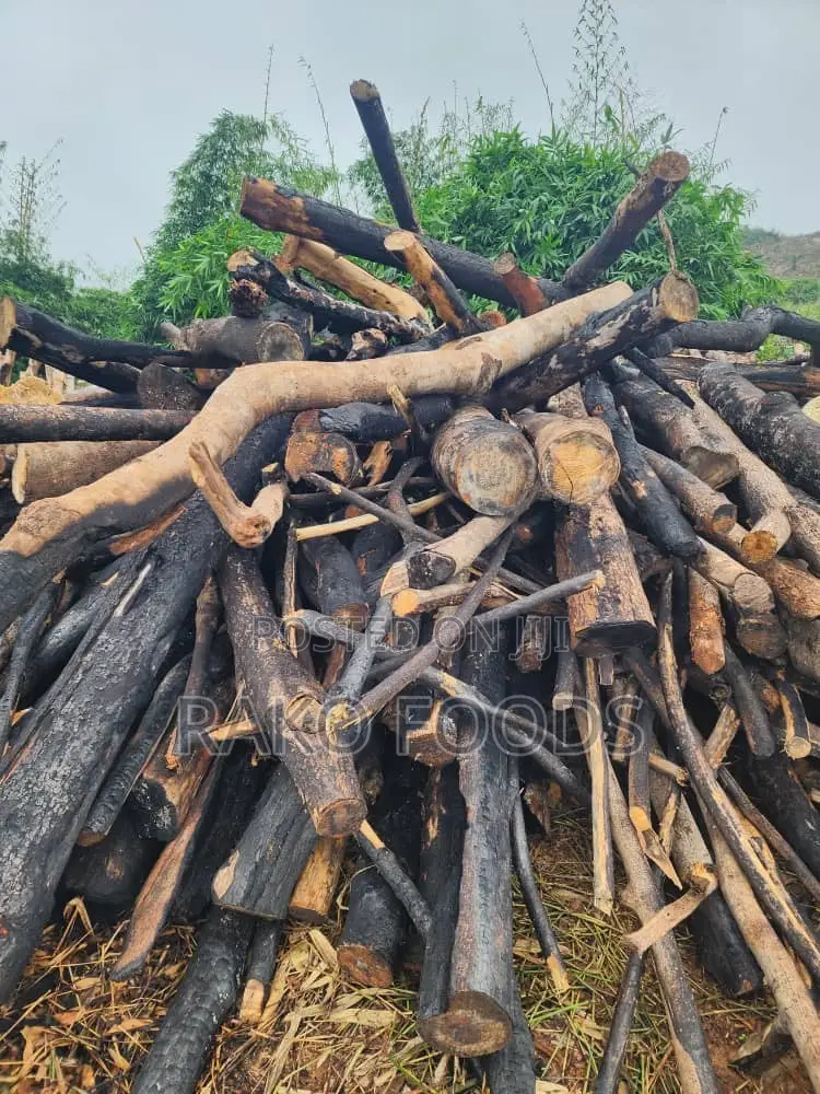 Wood for Charcoal or Firewood