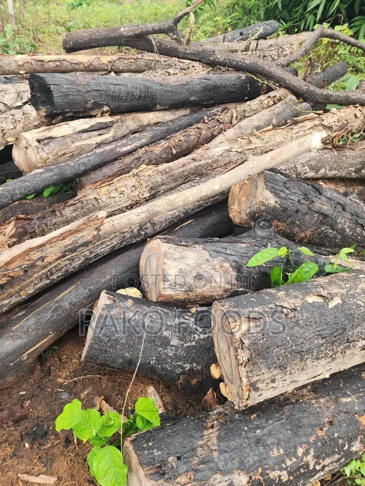 Wood for Charcoal or Firewood