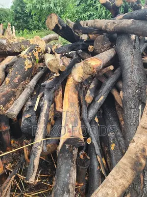 Wood for Charcoal or Firewood