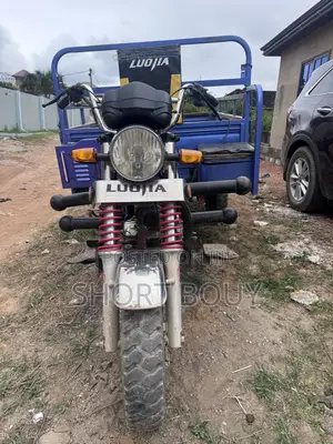 Luojia Clean Tricycle 2025 Blue