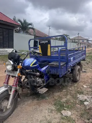 Luojia Clean Tricycle 2025 Blue