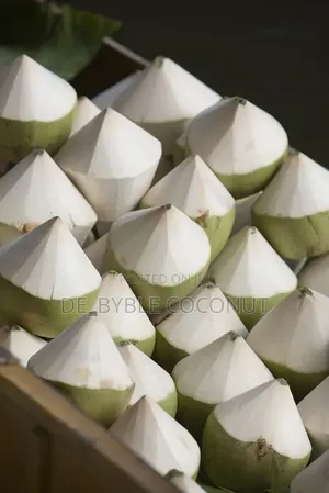 Fresh Coconut Delivery Service