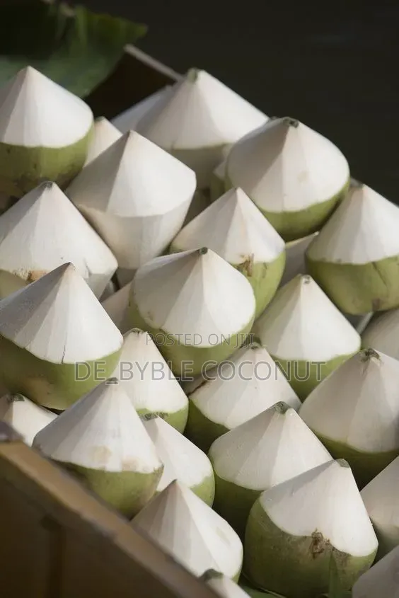Fresh Coconut Delivery Service
