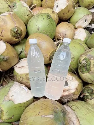 Fresh Coconut Delivery Service