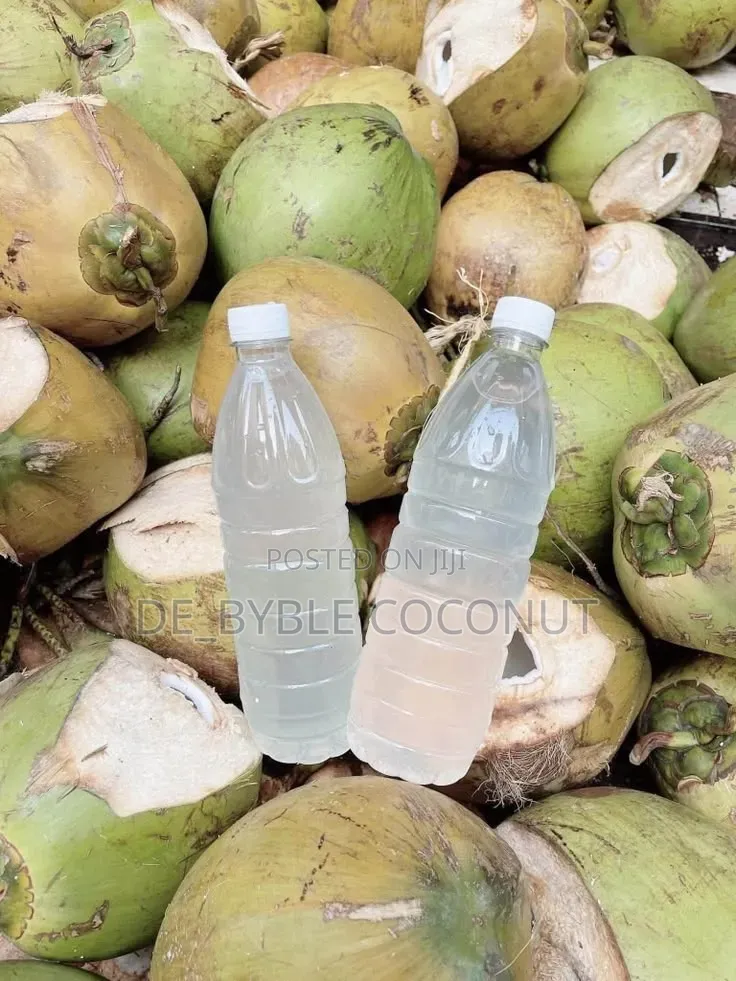 Fresh Coconut Delivery Service