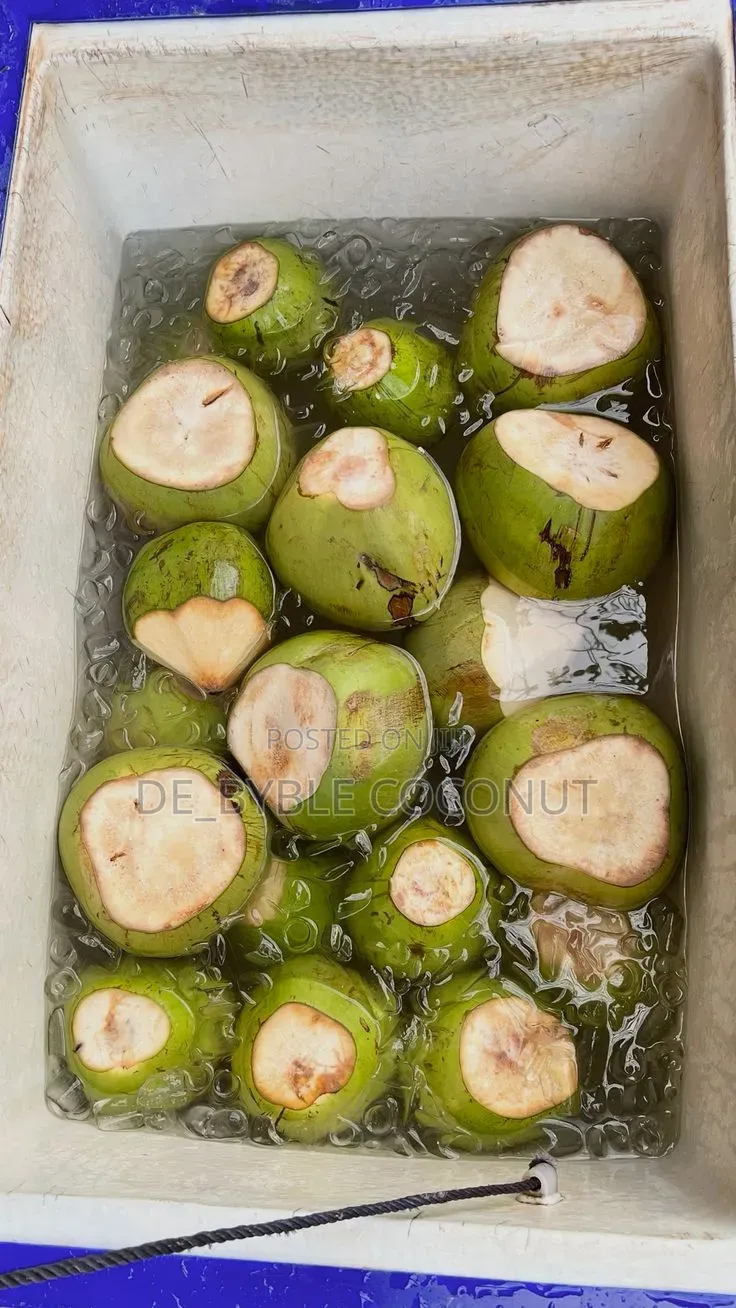 Fresh Coconut Delivery Service