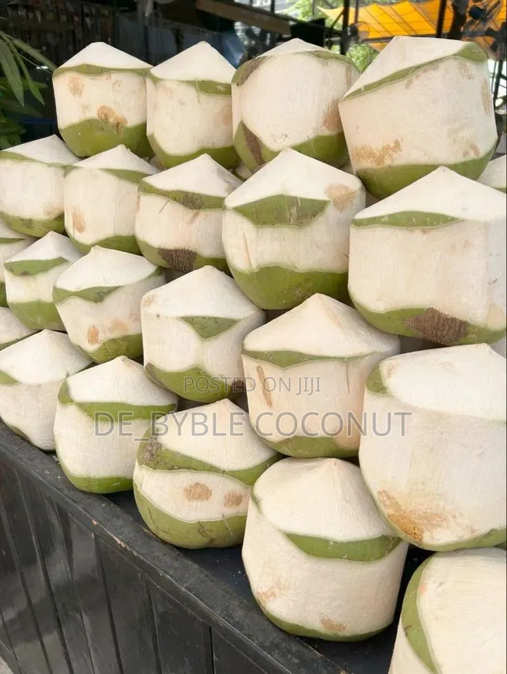 Fresh Coconut Delivery Service
