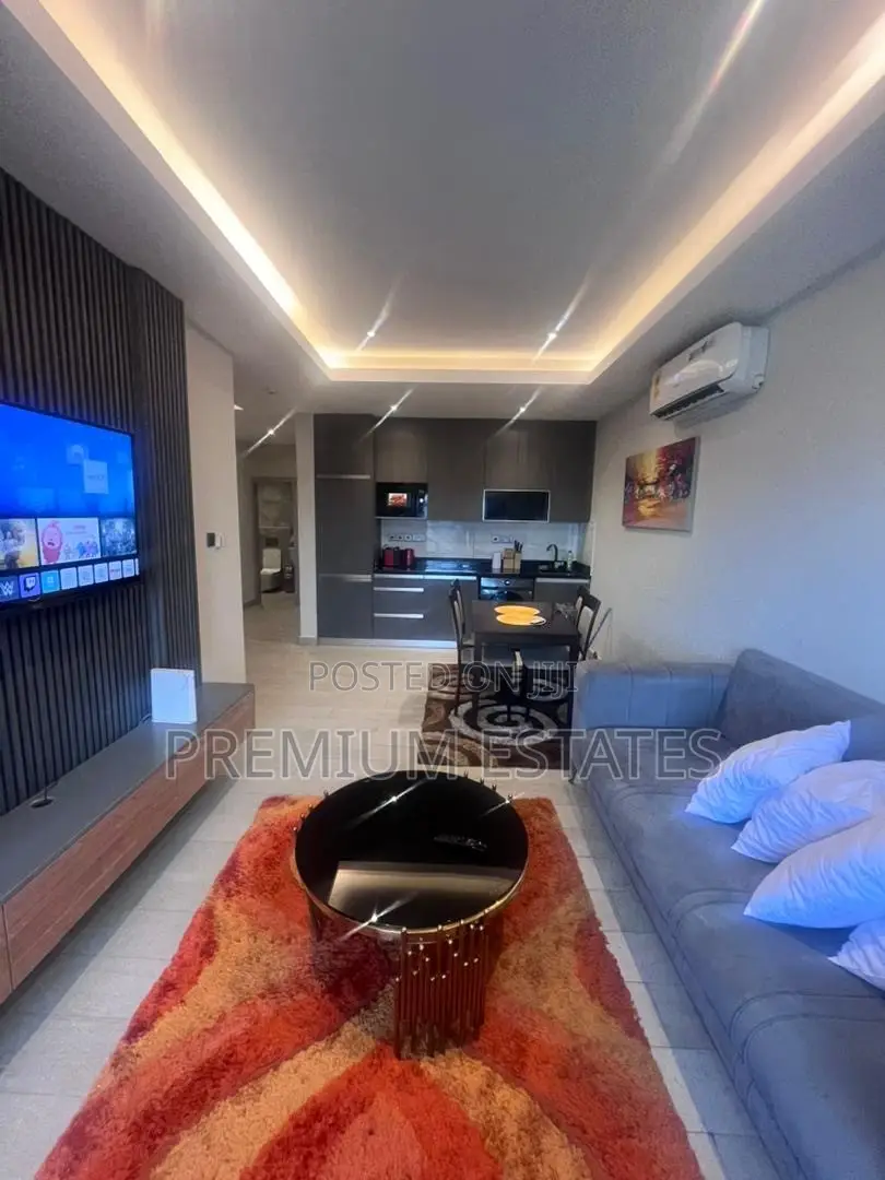Fully Furnished One Bedroom Apartment In