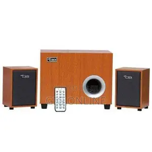 New C10 Triple Power Wooden Speaker