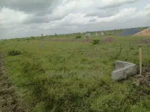 Personalized Corner Walls – Shai Hills After Afienya Dedenya