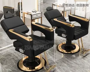Professional Salon and Barber Chair