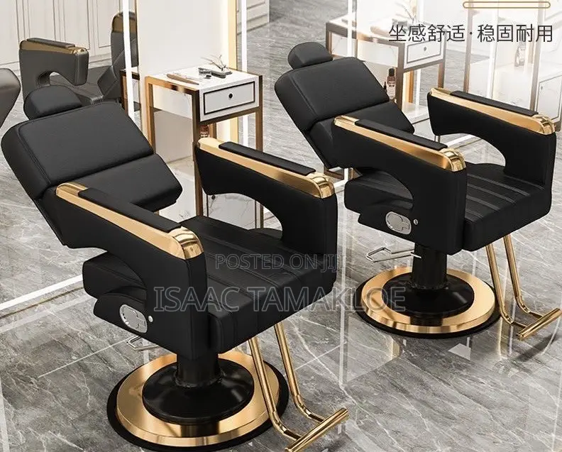 Professional Salon and Barber Chair