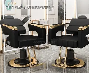 Professional Salon and Barber Chair