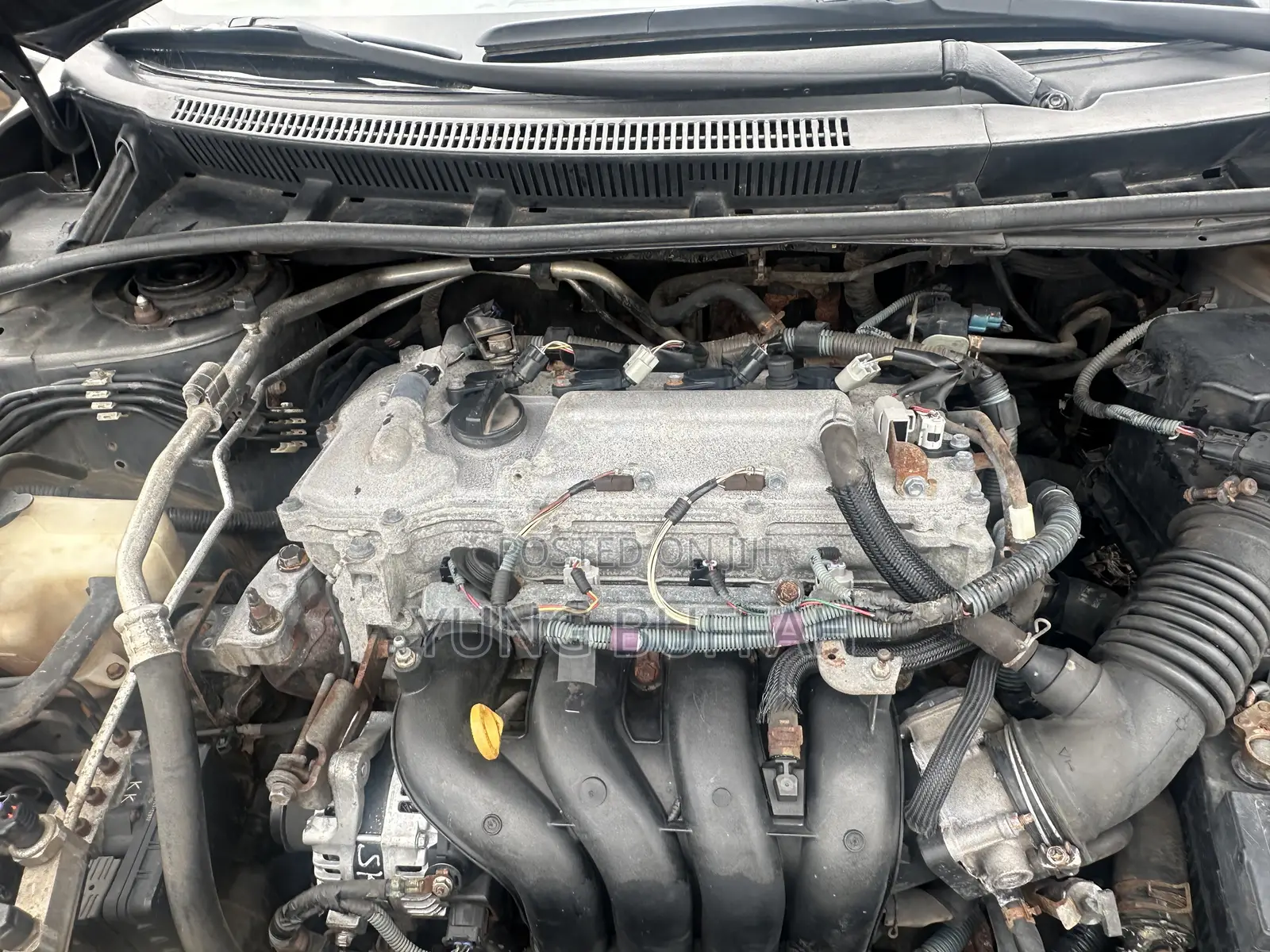 Toyota Corolla S 4dr Sedan (1.8L 4cyl 4A) 2013 Gray