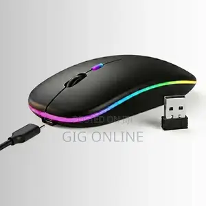 HP W10 Wireless Mouse