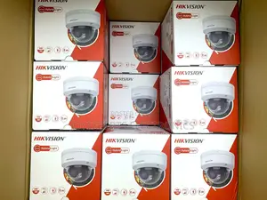 Hikvision 2MP Smart Hybrid Light Dome IP Camera (DS-2CD1123G2-LIU)