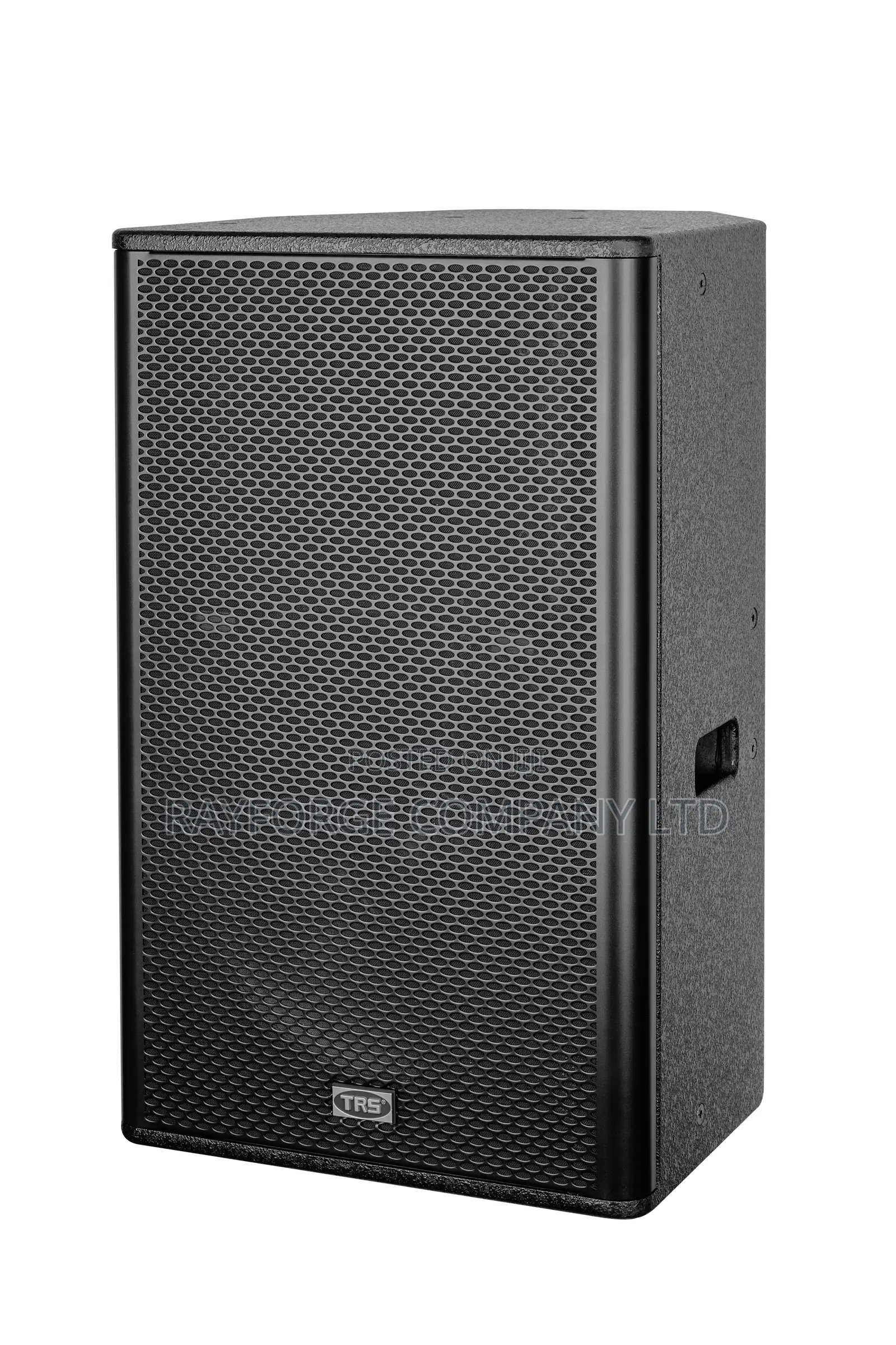 15 Inch Two Way Professional Speaker