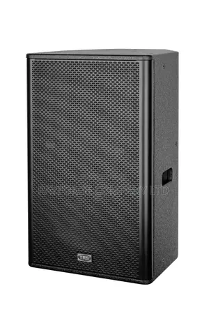 15 Inch Two Way Professional Speaker