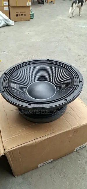 18Inches 4000W JAC Naked Speaker (LF18M336)