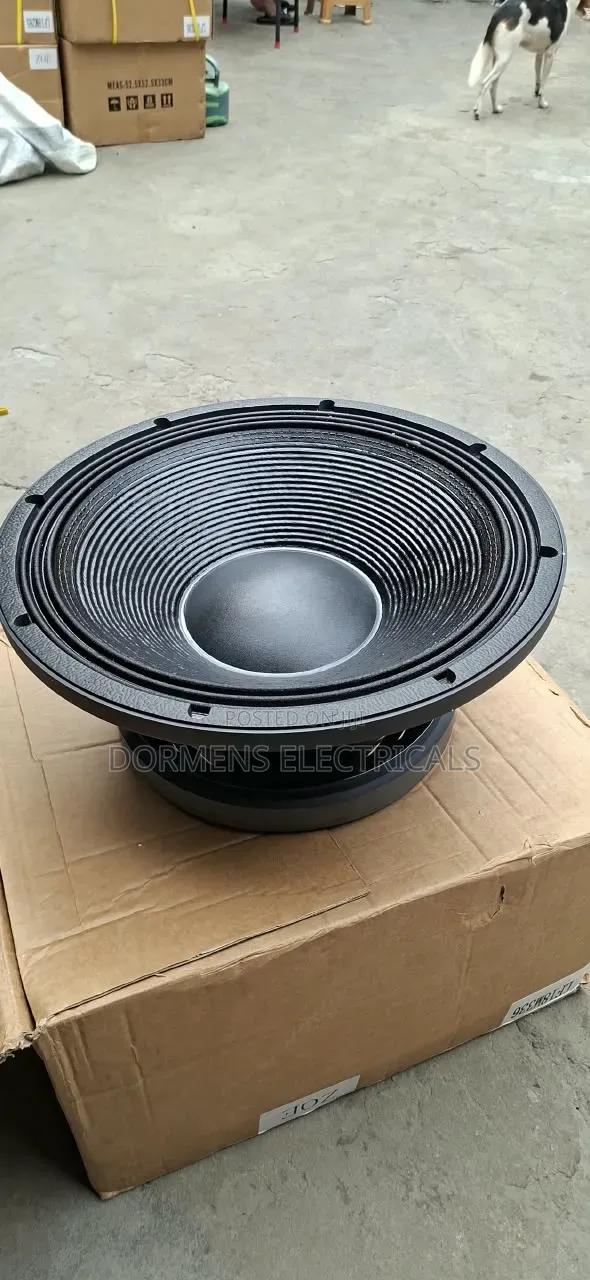 18Inches 4000W JAC Naked Speaker (LF18M336)