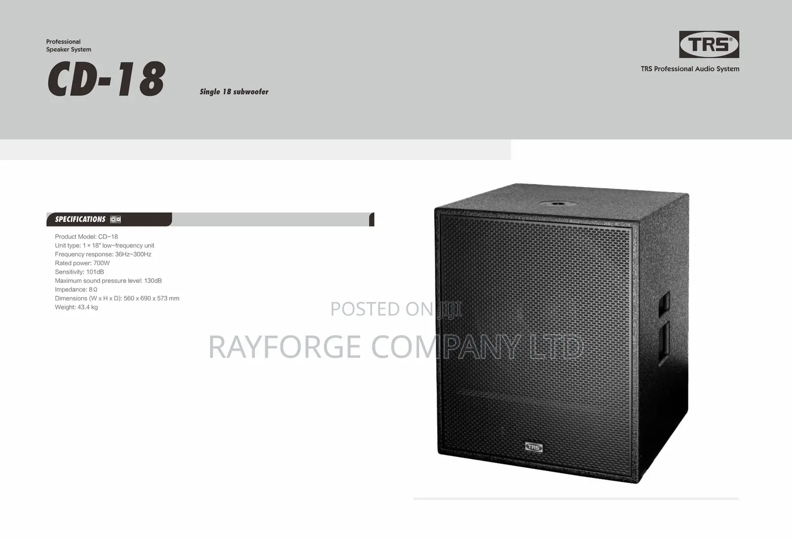 CD 18 Professional Speaker
