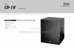 CD 18 Professional Speaker