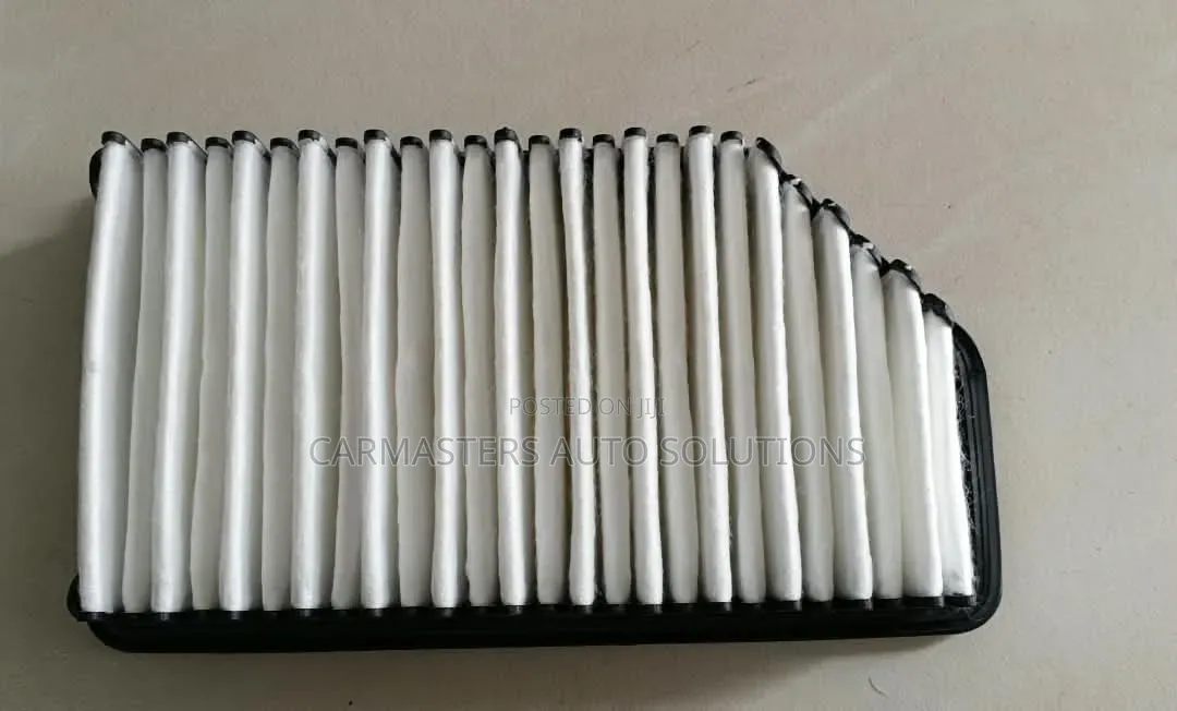 Hyundai Kia Engine Air Filter 28113-1r100. Accent, Veloster, Rio Soul.