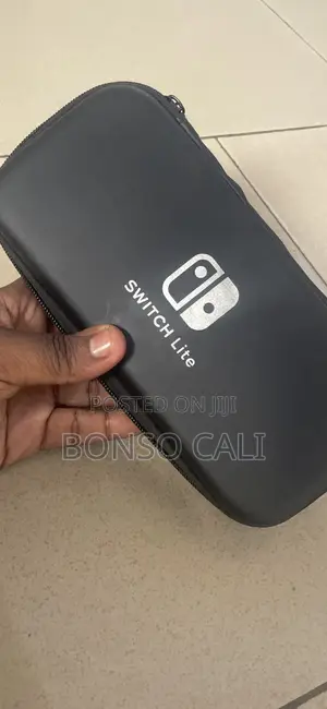 Nintendo Switch Lite Modded