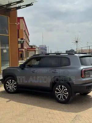 New Haval Big Dog 2025 Gray