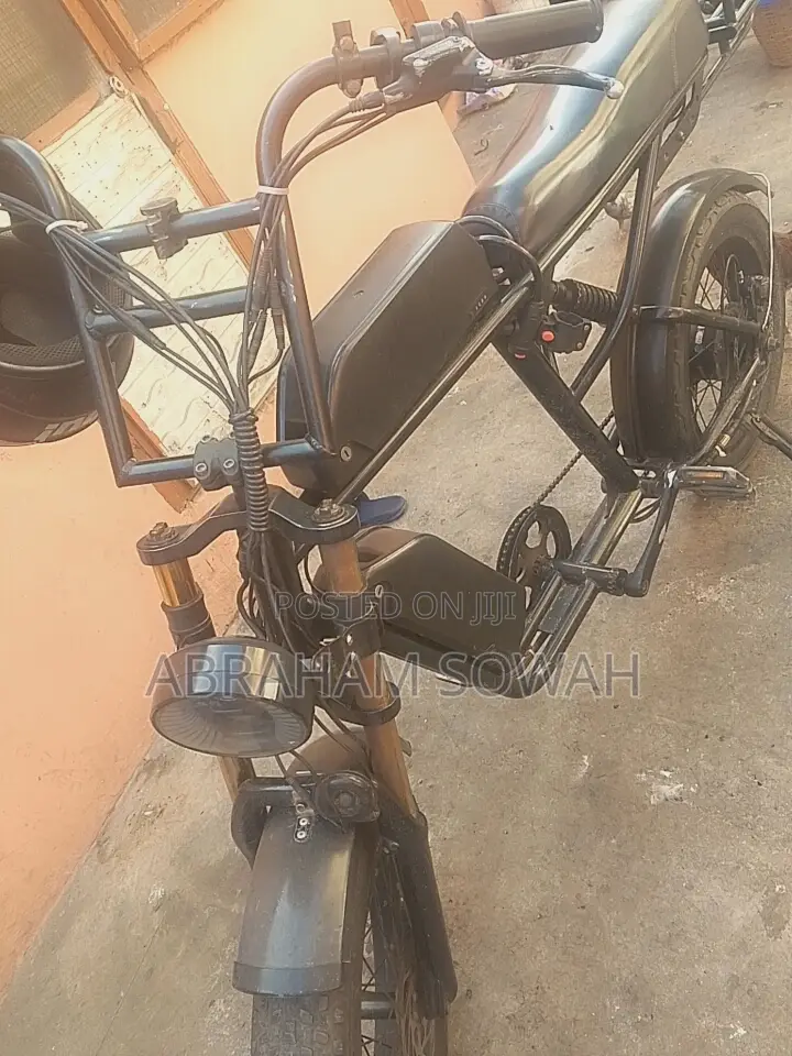 Electronic Bike