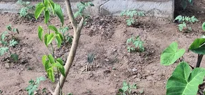 Good in Agricultural Business