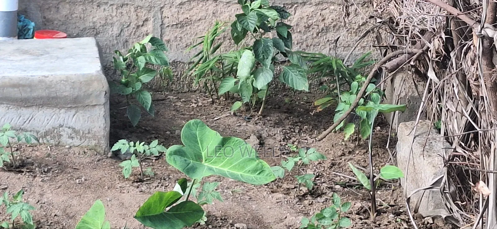 Good in Agricultural Business