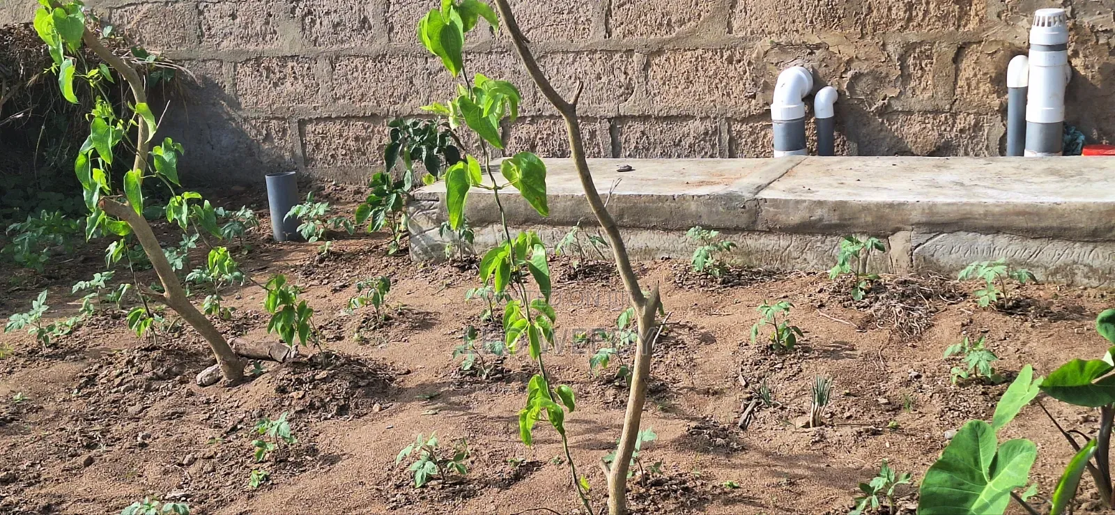 Good in Agricultural Business