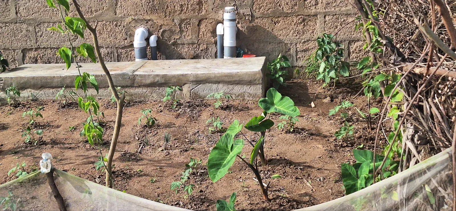 Good in Agricultural Business