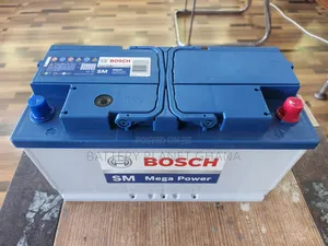 Bosch Battery 19 Plates