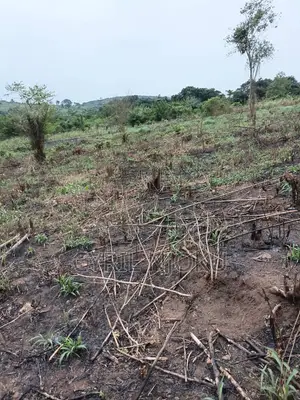 Plot of Land for Sale in Aburi Tutu