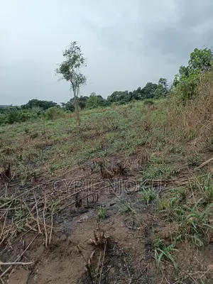Plot of Land for Sale in Aburi Tutu