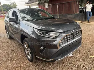 Toyota RAV4 XLE Premium 2022 Gray