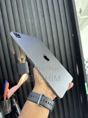 Apple iPad Pro 128 GB Gray