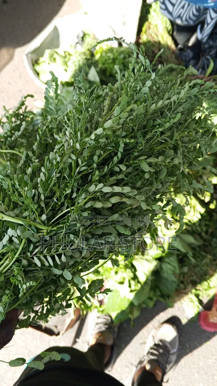 Fresh Herbs 40ghc Upward and Dried Plants 60ghc Upward