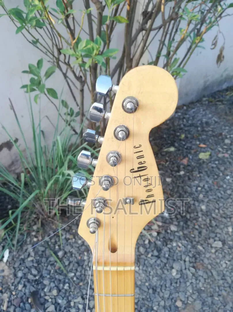 PhototGenic Stractocaster Guitar